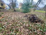 Grundstück Gartenansicht