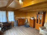 Holzhaus im Garten4-78c4-41b4-b59f-d7e7cfeb18b0
