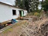 Altbestand