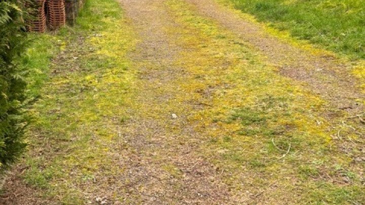 Erschlossenes Baugrundstück in toller und ruhiger Lage