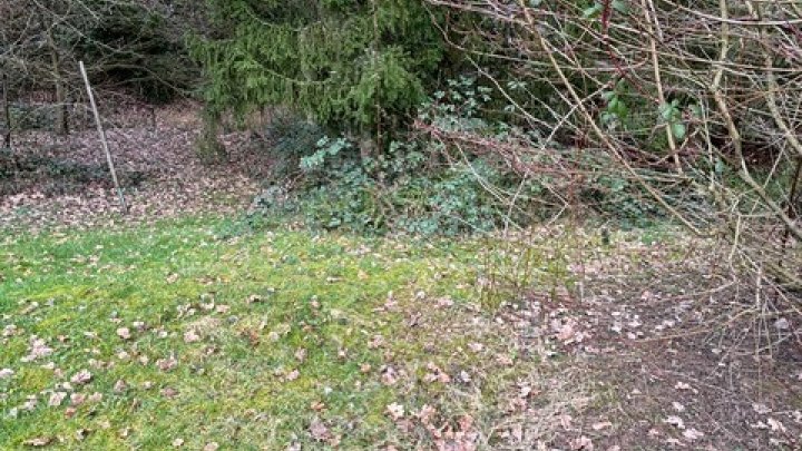 Erschlossenes Baugrundstück in toller und ruhiger Lage