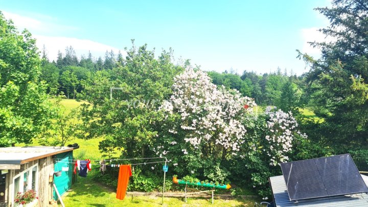Bezahlbarer Wohntraum mit großem Garten für Selbstversorger