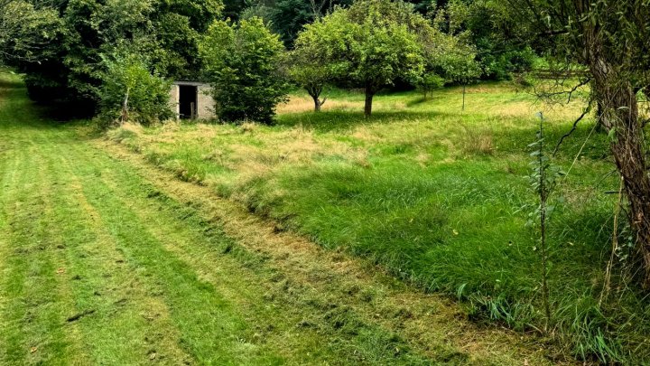 Ruhiggelegenes Reihenmittelhaus, renovierungsbedürftig