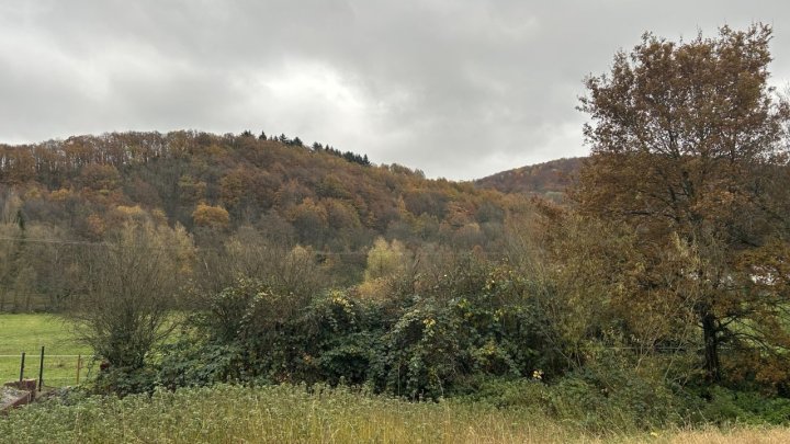 Freistehendes gepflegtes Mehrfamilienhaus mit 5 Wohneinheiten in sehr gepflegtem Zustand, voll vermietet