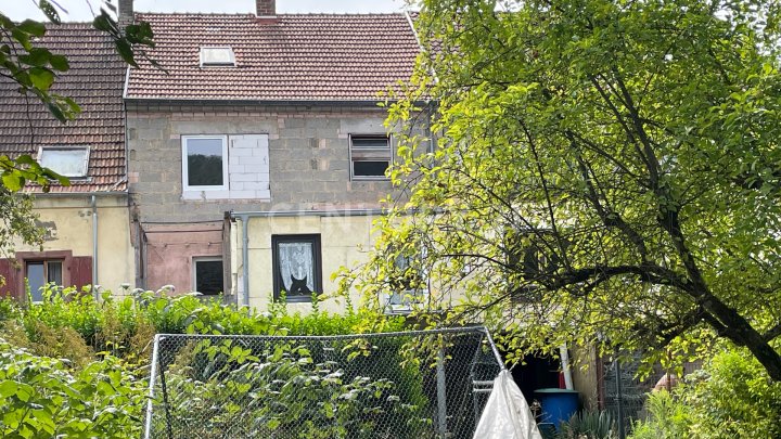 Auf den Spuren von Indiana Jones: Entdecken Sie das Geheimnis im Keller