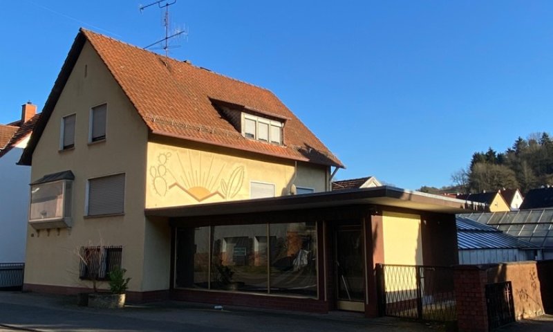 Freistehendes Haus + separate Wohnung, Garage und Grundstück