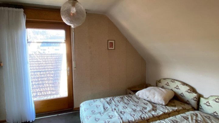 Freistehendes Haus + separate Wohnung, Garage und Grundstück