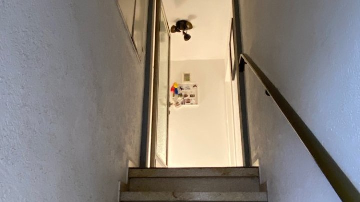 Freistehendes Haus + separate Wohnung, Garage und Grundstück