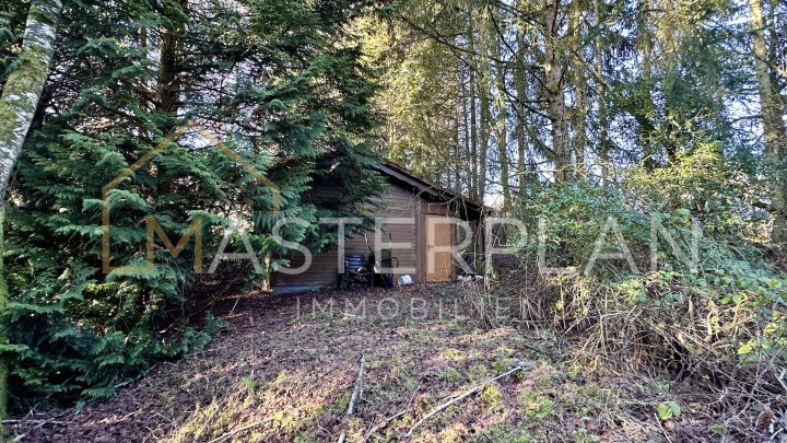 Idyllisches Wochenendgrundstück – bis zu 50 m² Bebauung möglich!