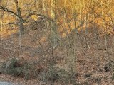 Blick nach vorne