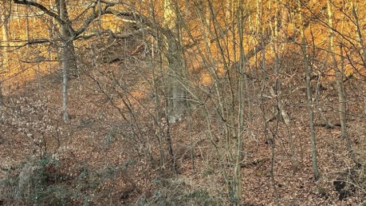 Doppelhaushälfte in ruhiger Lage – Ideal für Familien oder Mehrgenerationen