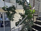 Treppe zum OG