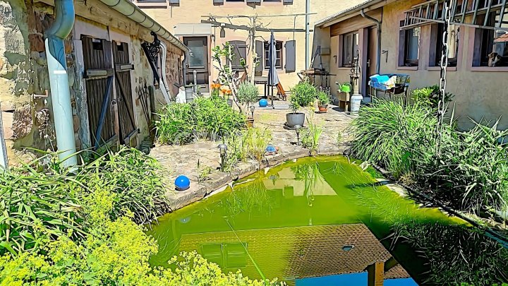 Zeitloses Erbe aus 1625 – Charmantes Bauernhaus mit vielseitiger Gewerbeeinheit
