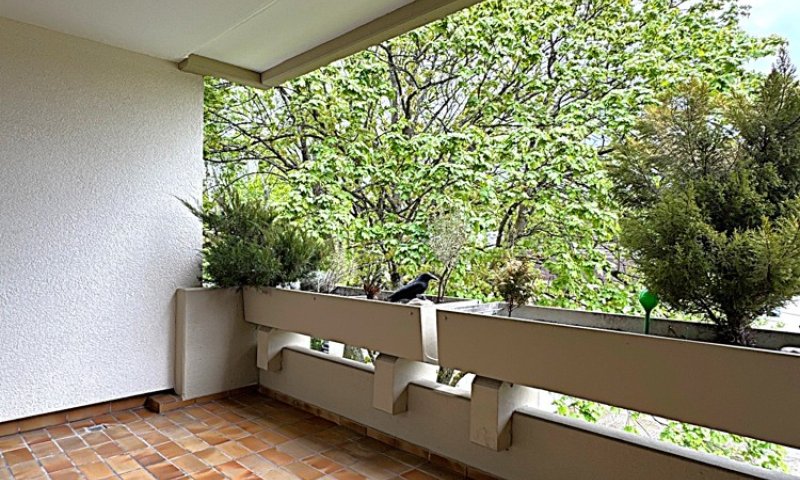 Renovierte 2-ZKB Wohnung mit Einbauküche, Balkon und Garage
