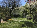 Garten-2