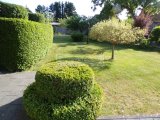 alles traumhaft