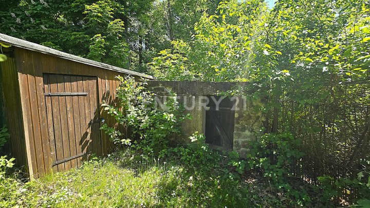 Attraktiver großer Bungalow mit ELW, Garten, 2 Garagen und Weiher in privilegierter Wohnlage