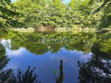 Breite des Weihers ca. 30m 