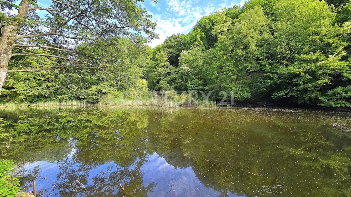 Attraktiver großer Bungalow mit ELW, Garten, 2 Garagen und Weiher in privilegierter Wohnlage