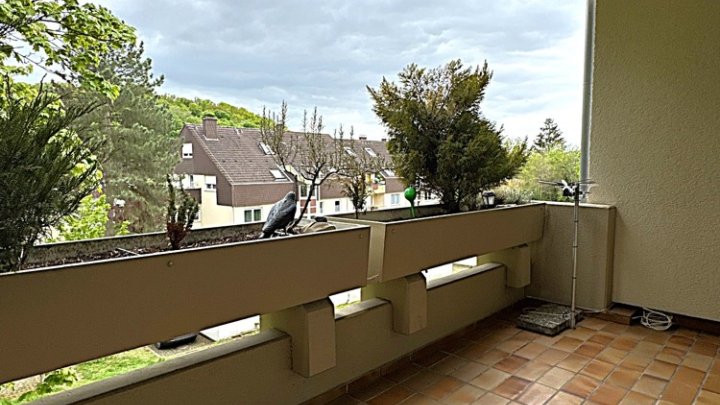 Renovierte 2-ZKB Wohnung mit Einbauküche, Balkon und Garage
