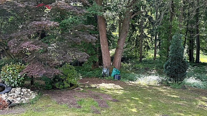 Modernisiertes EFH mit Traumgarten in Waldrandlage auf der Unner