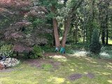 Garten1