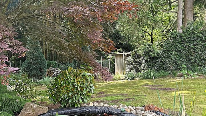Modernisiertes EFH mit Traumgarten in Waldrandlage auf der Unner