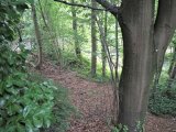 Hauseigener Wald