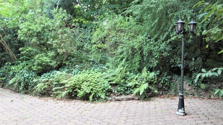 Hochwertig sanierter Luxus-Bungalow mit Einliegerwohnung, Photovoltaik und Großzügigem Grundstück
