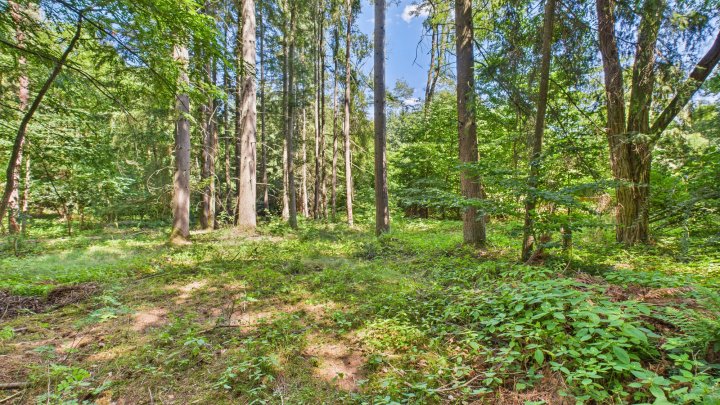 Verstecktes Paradies für Ruhesuchende – Wochenendgrundstück in traumhafter Lage