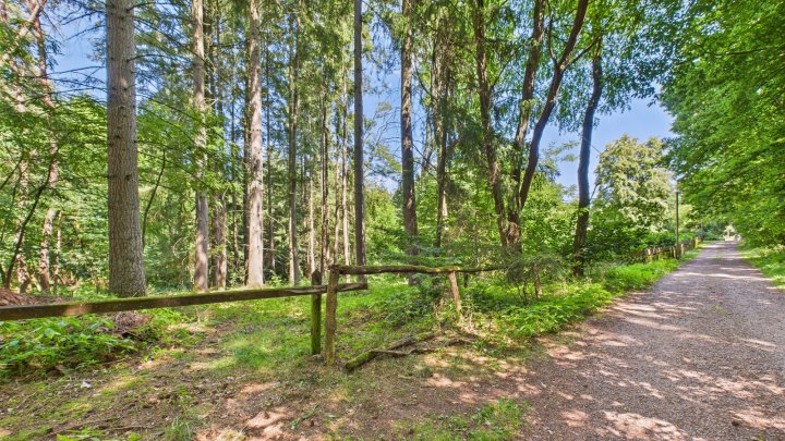 Verstecktes Paradies für Ruhesuchende – Wochenendgrundstück in traumhafter Lage