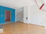 Zimmer DG 
