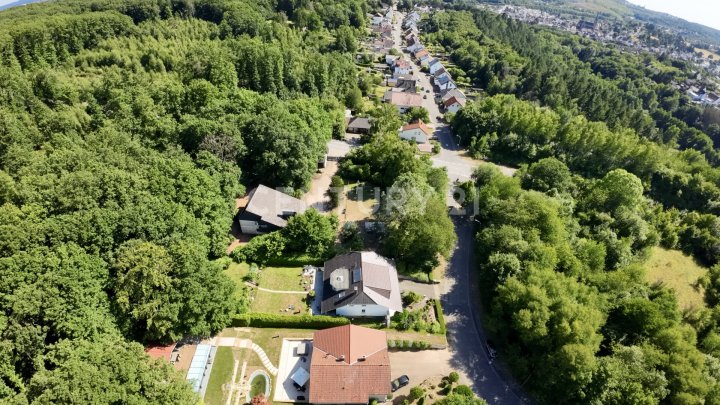 Stilvolle Villa mit Galerie in Schiffweiler – Wohnen auf höchstem Niveau