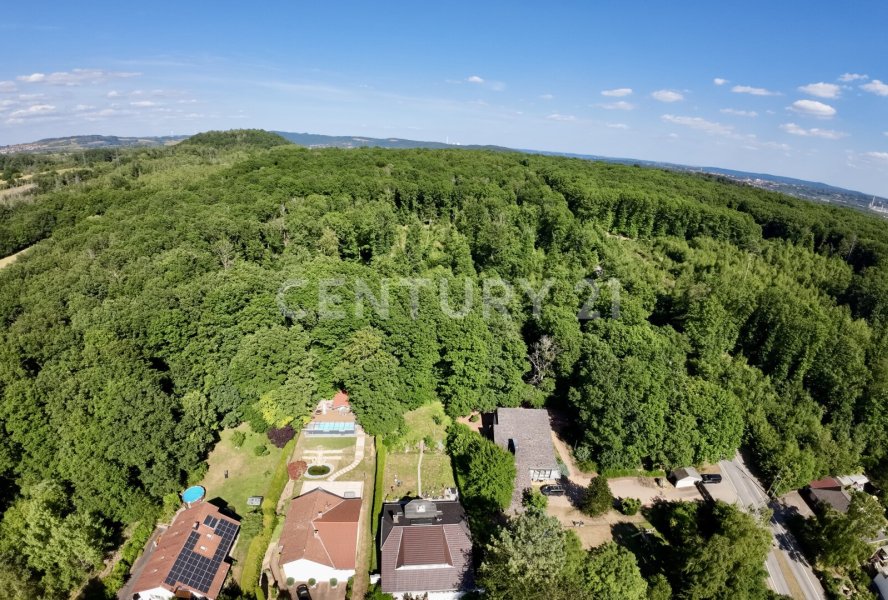 Waldlage - ruhiges Wohnen in grüner Umgebung
