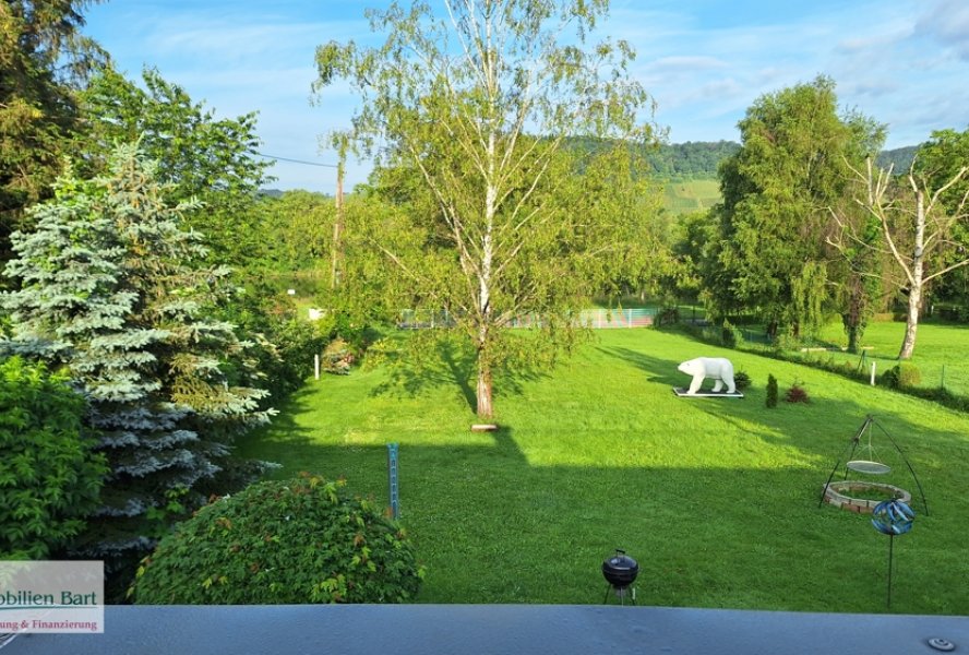 Mosel-Blick