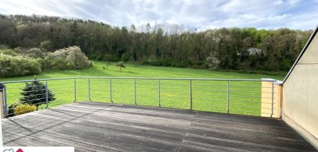Dachterrasse mit Blick ins Grüne (2)