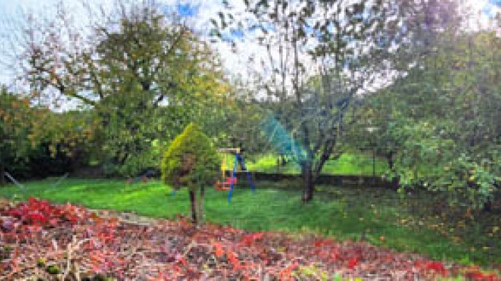 Für Investoren: Mehrfamilienhaus mit 4 Wohnungen in Temmels, grenznah zu Luxemburg