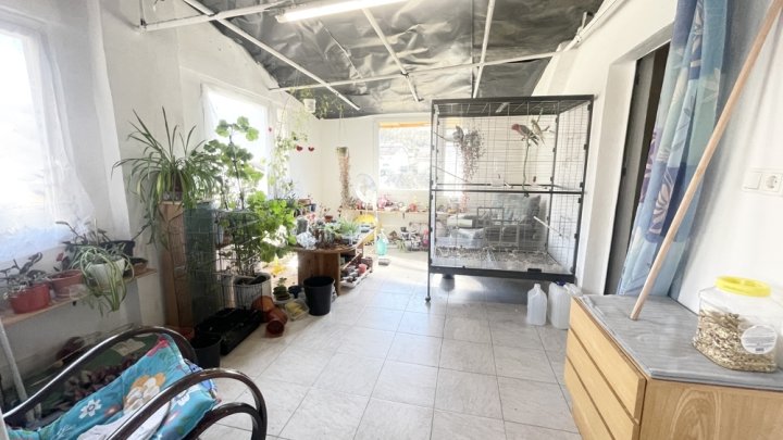 Einfamilienhaus mit Garten, Garage und Stellplatz – Viel Potenzial für Ihre Ideen