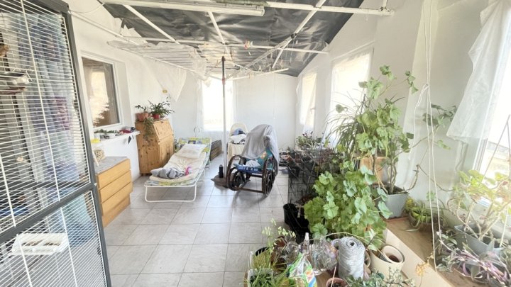 Einfamilienhaus mit Garten, Garage und Stellplatz – Viel Potenzial für Ihre Ideen