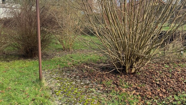 Vermietetes 2-Familienhaus in zentraler Lage von Püttlingen zu verkaufen