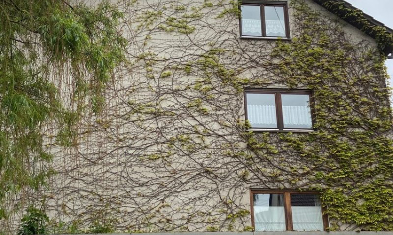 Renditeobjekt: Gästehaus (4-FH) mit 15 Zimmern in Uni-Nähe