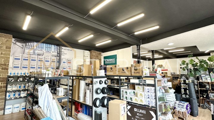 Gewerbefläche in Merzig zur Miete