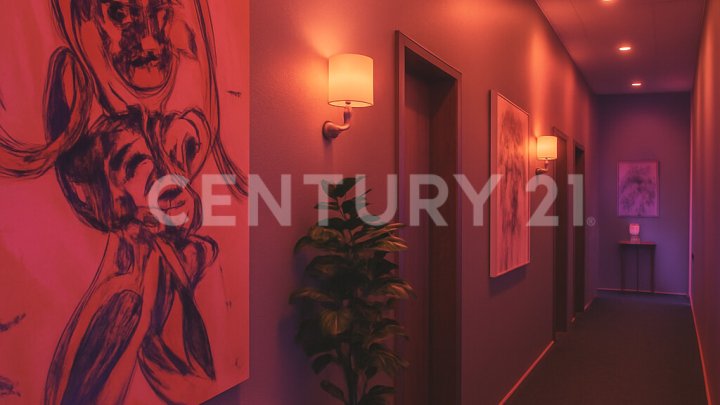 Wo Diskretion auf Design trifft – Erfolgreiches Rotlichtobjekt in Neunkirchen