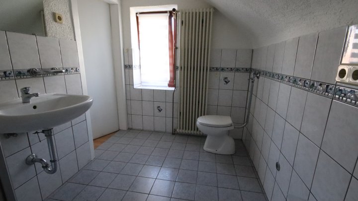 Einfamilienhaus für Gartenmuffel