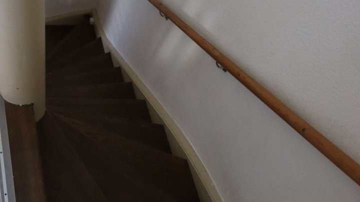 Einfamilienhaus für Gartenmuffel