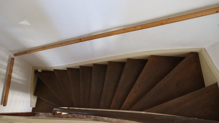 Einfamilienhaus für Gartenmuffel