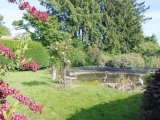 Gartenanlage