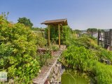 Garten mit Teich