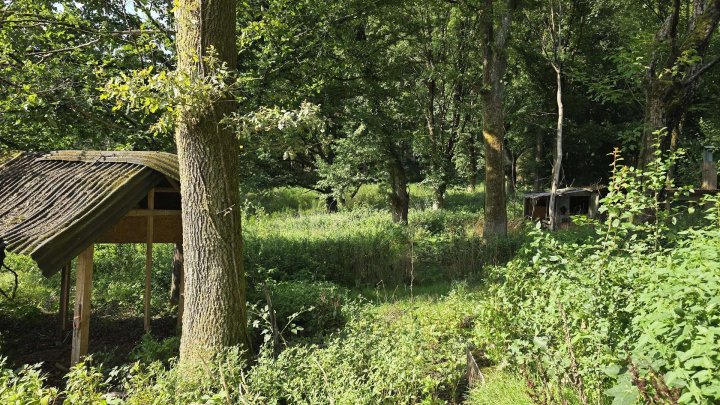 Seltene Gelegenheit! Häuschen im Grünen! Natur pur!