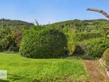 Blick ins Grüne